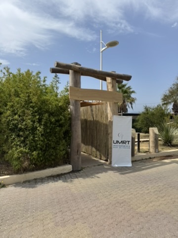 L&rsquo;été du Maritime